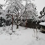 Spatzennest