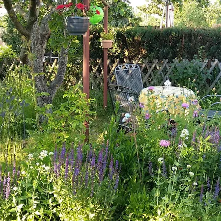 Spatzennest 아파트 *