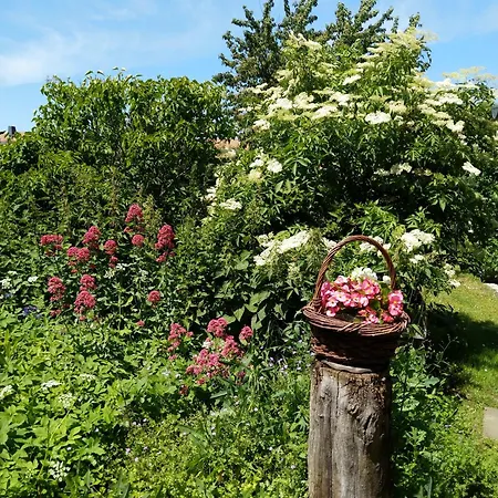 Spatzennest Διαμέρισμα