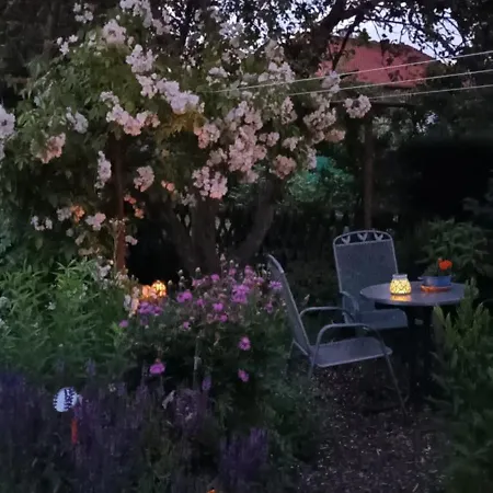 아파트 Spatzennest 베르니게로데