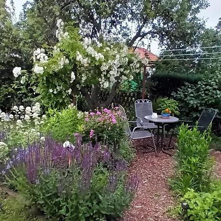 Διαμέρισμα Spatzennest Wernigerode