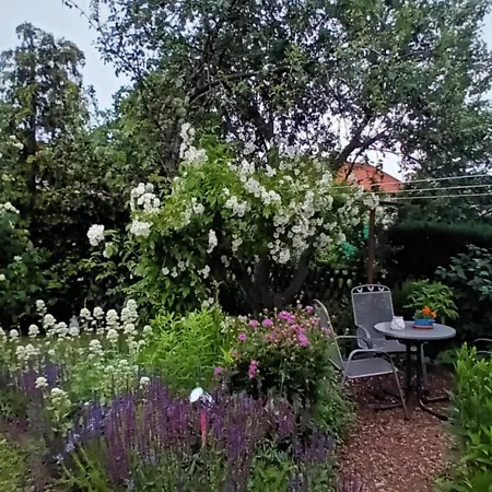 Spatzennest * Wernigerode