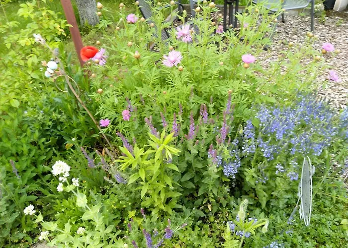 Spatzennest דירה ורניגרוד