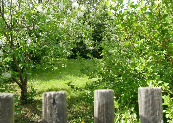 דירה Spatzennest