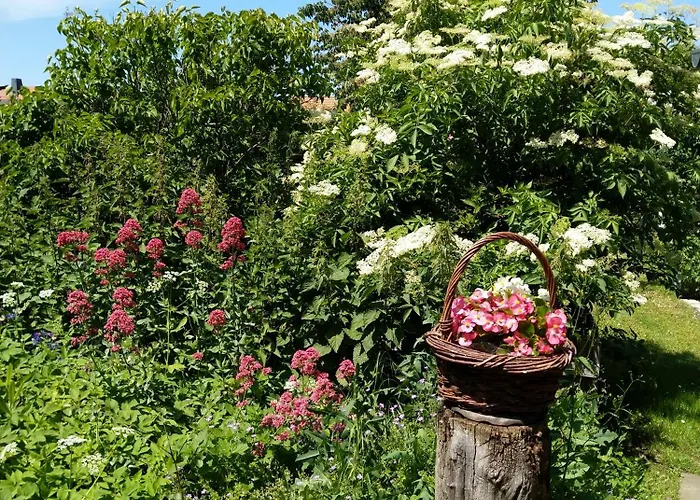 Spatzennest דירה