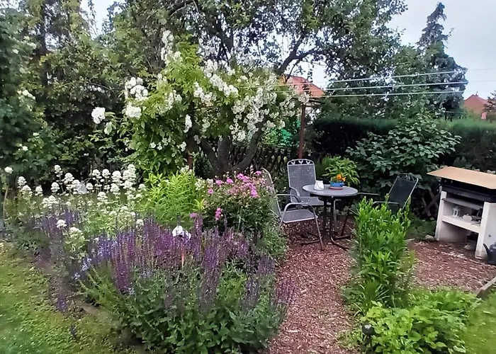 דירה Spatzennest ורניגרוד