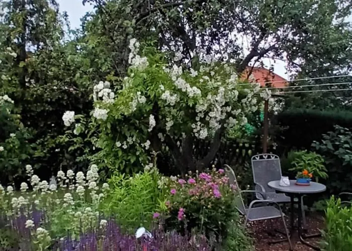 Spatzennest * ורניגרוד