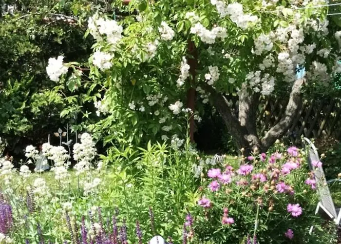 Spatzennest * ורניגרוד