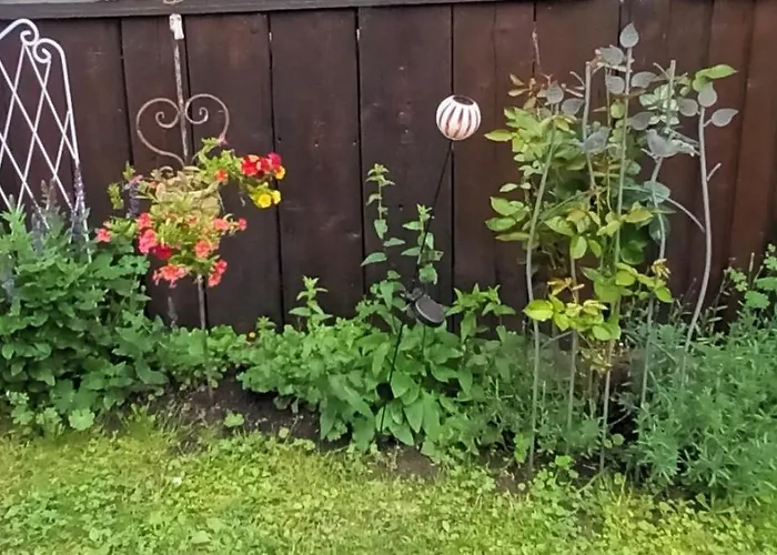 Spatzennest דירה *